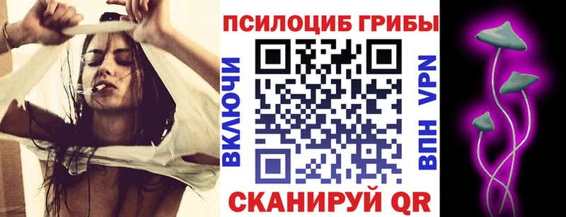 сколько стоит  Тюмень  Галлюциногенные грибы Magic Shrooms 